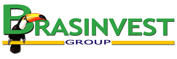 Logo Brasinvest Group