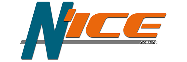 Logo N'ice Italia